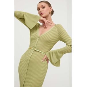 Šaty Elisabetta Franchi zelená farba, maxi, priliehavá, AM61R41E2,