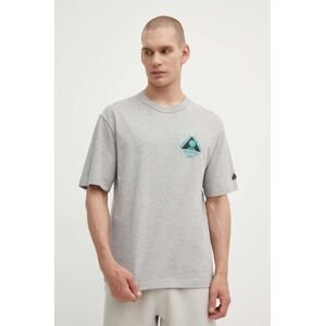 Bavlnené tričko Reebok Classic Basketball pánske, šedá farba, s potlačou, 100075810