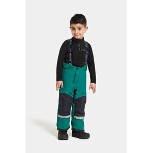 Detské lyžiarske nohavice Didriksons IDRE KIDS PANTS zelená farba