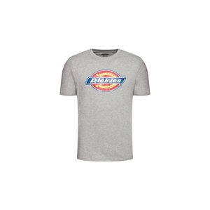 Dickies Icon Logo Tee Grey-S šedé DK0A4XC9GYM-S