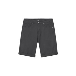 Carhartt WIP Swell Short 31 modré I012292_E1_02-31