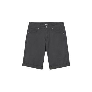 Carhartt WIP Swell Short 34 modré I012292_E1_02-34