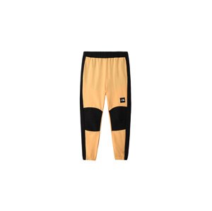 The North Face M Phlego Track Trousers L oranžové NF0A7R2H0UT-L