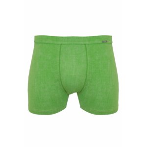 Pánske boxerky 220 green