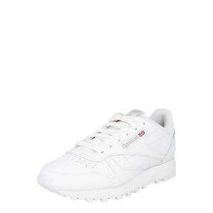 Reebok Nízke tenisky  modrá / červená / šedobiela