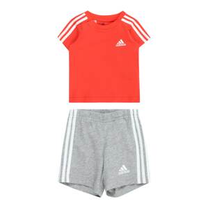 ADIDAS PERFORMANCE Tréningový komplet  sivá melírovaná / červená / biela