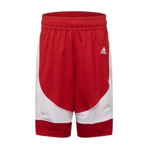 ADIDAS SPORTSWEAR Športové nohavice 'N3Xt L3V3L Prime Game'  ohnivo červená / biela