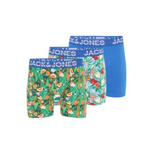 Jack & Jones Plus Boxerky 'PINEAPPLE'  svetlomodrá / žltá / zelená / červená