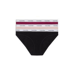 Calvin Klein Underwear Nohavičky  telová / farba lesného ovocia / čierna / biela