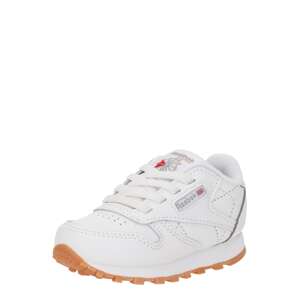 Reebok Tenisky  námornícka modrá / svetlosivá / červená / biela