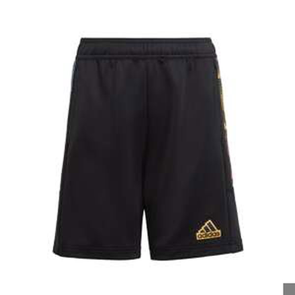 ADIDAS SPORTSWEAR Športové nohavice 'Tiro Summer'  svetlomodrá / zlatá žltá / ružová / čierna