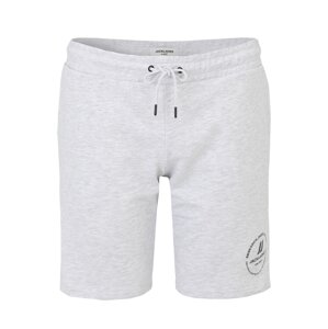 Jack & Jones Plus Nohavice  svetlosivá / čierna