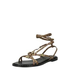 MAX&Co. Remienkové sandále 'STUDPALM'  zlatá / zelená / tmavozelená