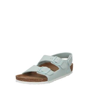 BIRKENSTOCK Otvorená obuv 'Milano'  nefritová