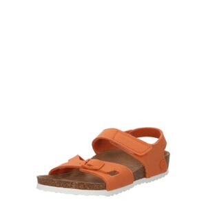 BIRKENSTOCK Otvorená obuv 'Colorado Papaya'  oranžová