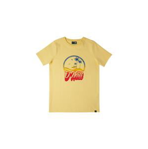 O'NEILL Tričko 'Gradient Vintage'  modrá / žltá / zlatá žltá / červená
