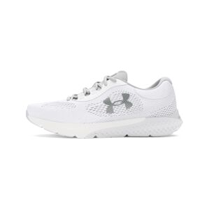 UNDER ARMOUR Bežecká obuv 'Rogue 4'  sivá / biela