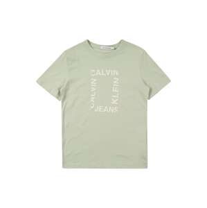 Calvin Klein Jeans Tričko 'MAXI HERO'  béžová / zelená