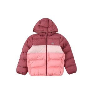 ADIDAS SPORTSWEAR Outdoorová bunda  striebornosivá / ružová / svetloružová / červená