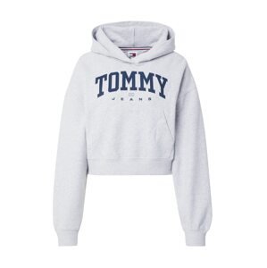 Tommy Jeans Mikina  tmavomodrá / sivá