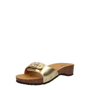 Scholl Iconic Papuče 'PESCURA Lea'  zlatá