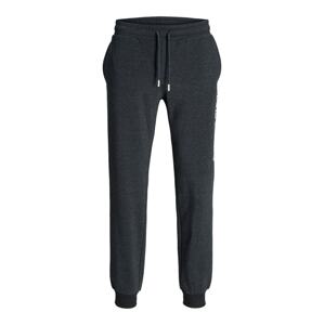 JACK & JONES Nohavice 'GORDON ALVIS'  čierna / biela