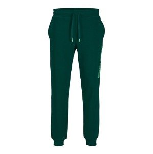 JACK & JONES Nohavice 'GORDON ALVIS'  limetová / jedľová