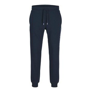 JACK & JONES Nohavice 'JJGORDON ALVIS'  námornícka modrá / orgovánová