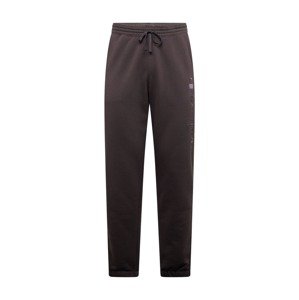 Champion Authentic Athletic Apparel Nohavice  antracitová / grafitová
