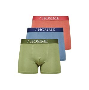 SELECTED HOMME Boxerky 'Vend'  dymovo modrá / jablková / melónová / biela