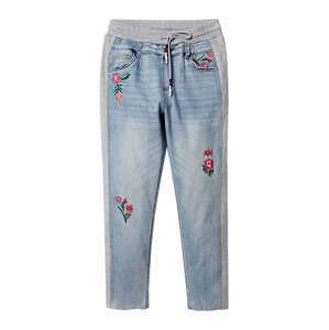 Desigual Džínsy 'Catalina'  modrá denim / sivá melírovaná / tmavozelená / červená