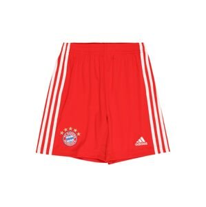 ADIDAS PERFORMANCE Športové nohavice 'Fc Bayern 22/23 Home'  červená / biela
