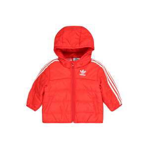 ADIDAS ORIGINALS Zimná bunda 'Adicolor'  červená / biela