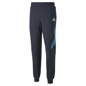 PUMA Športové nohavice 'Esports E7'  modrá / tmavomodrá / biela