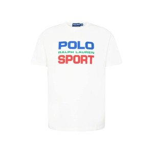 Polo Ralph Lauren Tričko  kráľovská modrá / trávovo zelená / jasne červená / biela