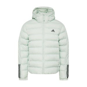 ADIDAS SPORTSWEAR Outdoorová bunda 'Itavic 3-Stripes Midweight '  pastelovo zelená / čierna