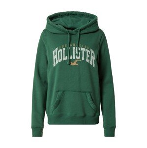 HOLLISTER Mikina  medová / trávovo zelená / biela