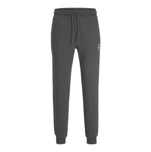 JACK & JONES Nohavice 'JPSTGordon JJShark'  antracitová / biela