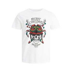 JACK & JONES Tričko 'CLAUS'  trávovo zelená / červená / čierna / biela