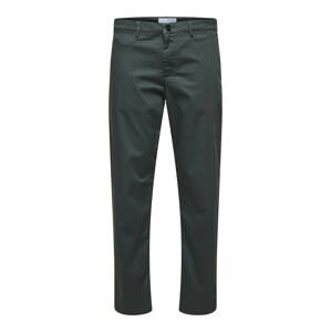 SELECTED HOMME Chino nohavice 'New Miles'  čadičová