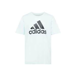 ADIDAS SPORTSWEAR Funkčné tričko  svetlomodrá / čierna