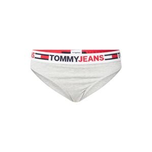 Tommy Jeans Nohavičky  námornícka modrá / svetlosivá / ohnivo červená