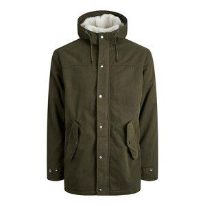 Jack & Jones Plus Zimná parka 'State'  jedľová