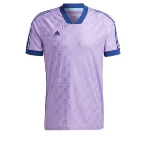 ADIDAS SPORTSWEAR Dres  fialová