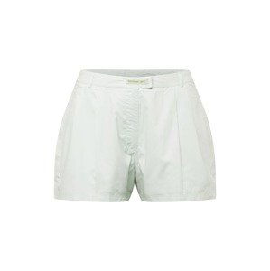 Reebok Nohavice 'CL WOMENS TREND SHORT'  mätová