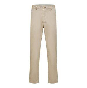 SELECTED HOMME Chino nohavice 'James'  tmelová