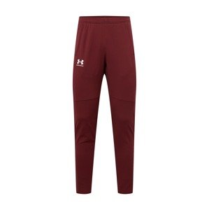 UNDER ARMOUR Športové nohavice  hrdzavo červená / biela