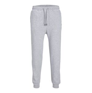 JACK & JONES Nohavice 'JPSTGordon JJBradley'  sivá