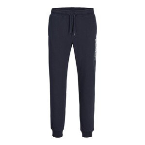 JACK & JONES Nohavice 'JPSTGORDON'  tmavomodrá / biela