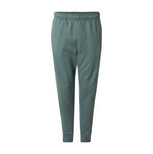 Nike Sportswear Nohavice 'CLUB'  smaragdová